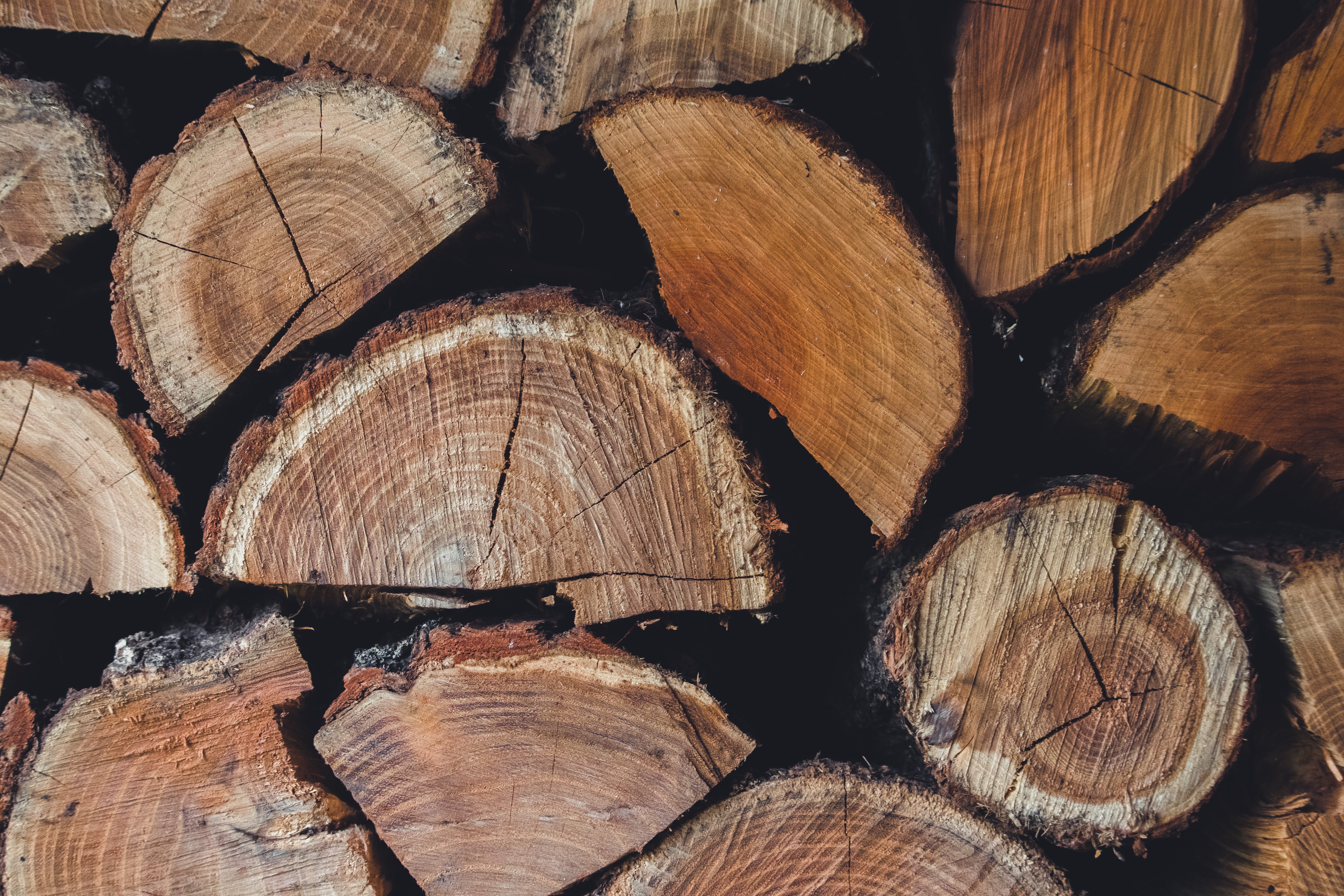 Timber trading and export